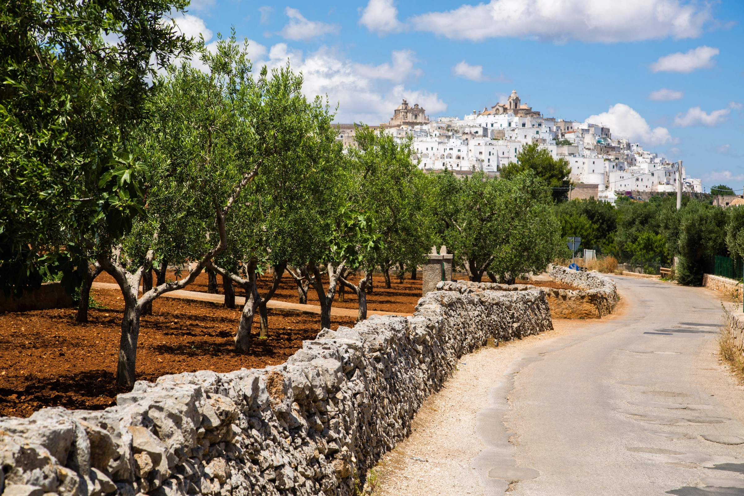 Ostuni[1].webp